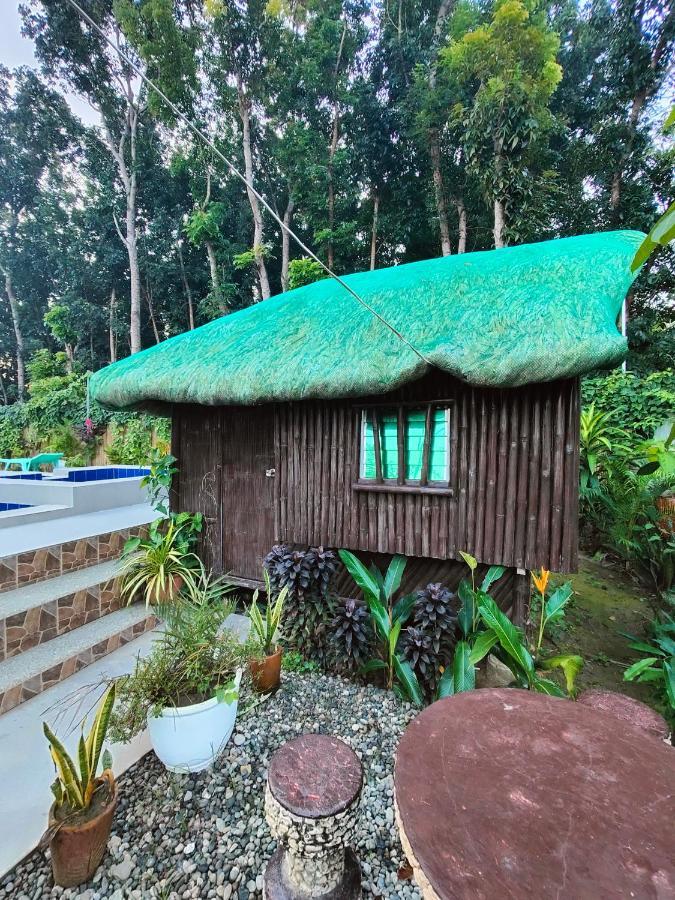 Bacnotan, La Union Private Resort - Teresa Kazza Resort 外观 照片
